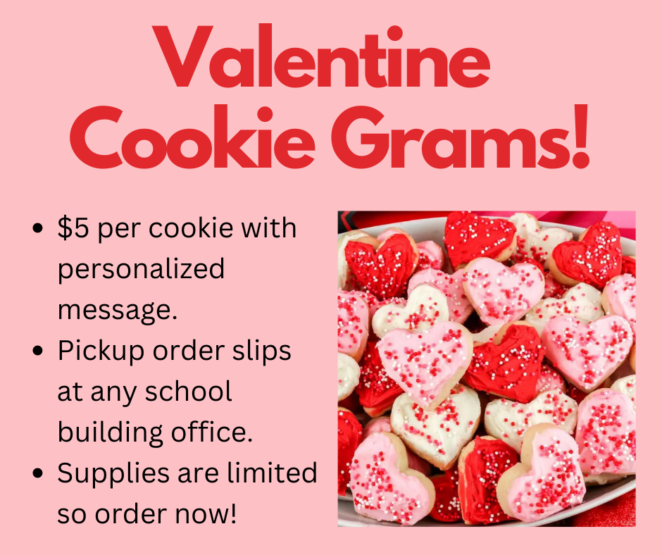 Valentine Cookie Grams 
